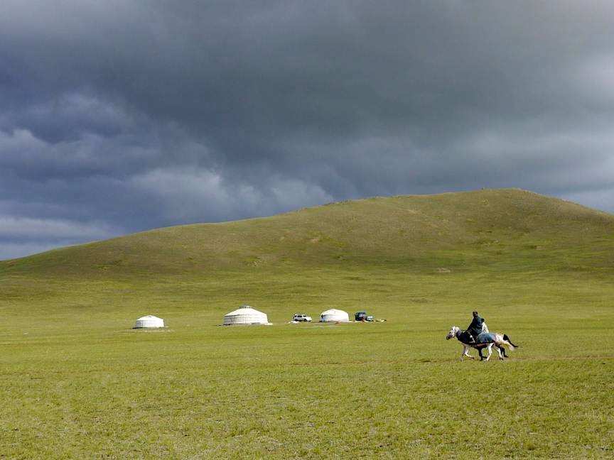 Mongolia plains animals