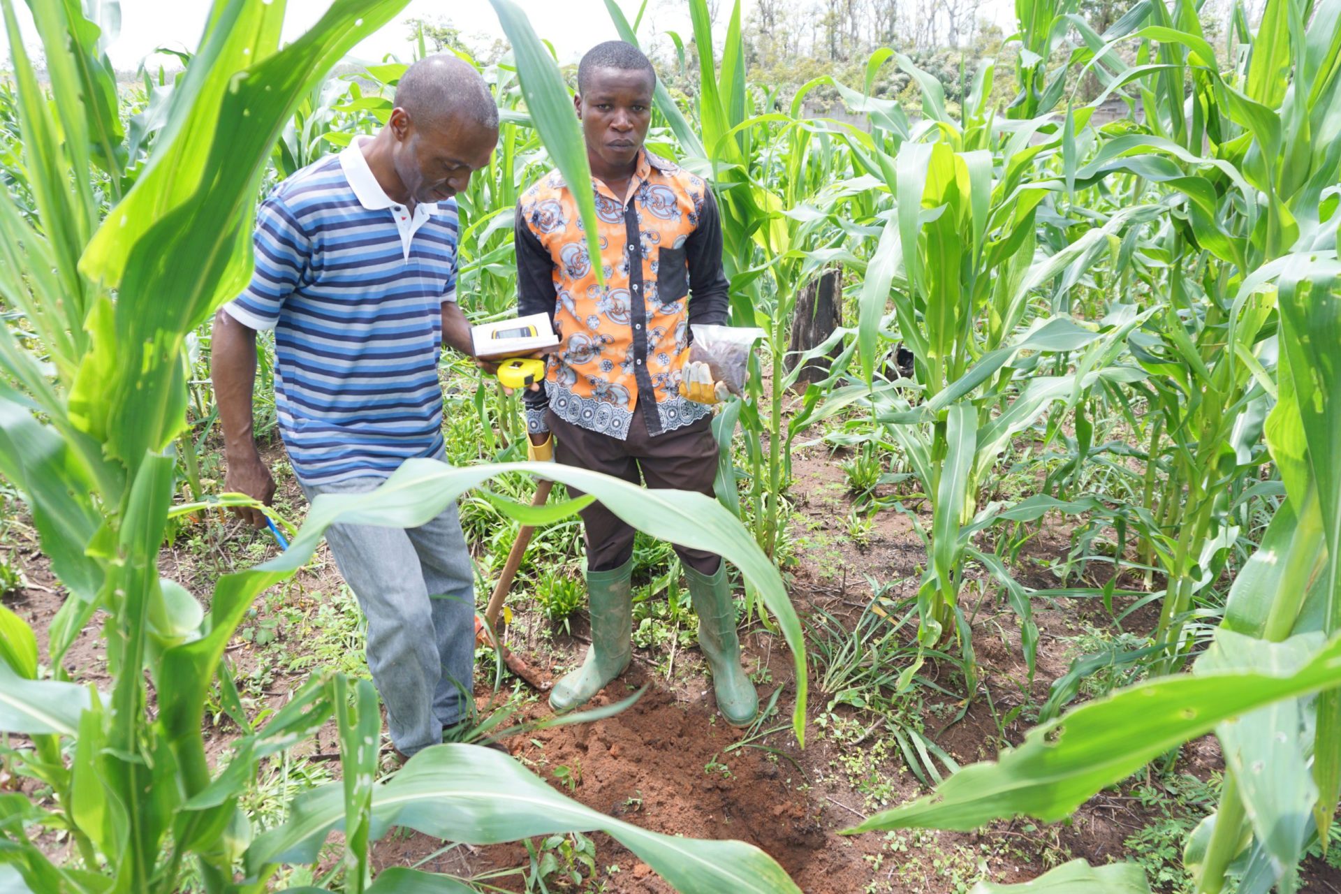 FOA 312 Soil Survey