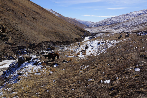 Bayankhongor miners trek to a remote mining site. 