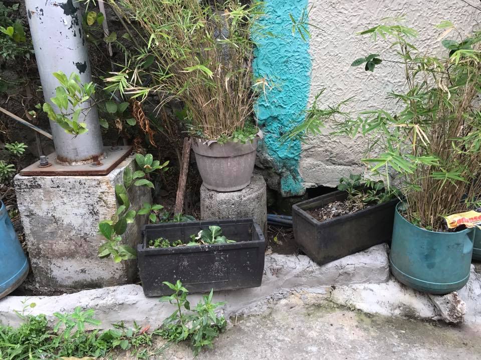 Old battery casing, contaminated with toxic lead, used as planters