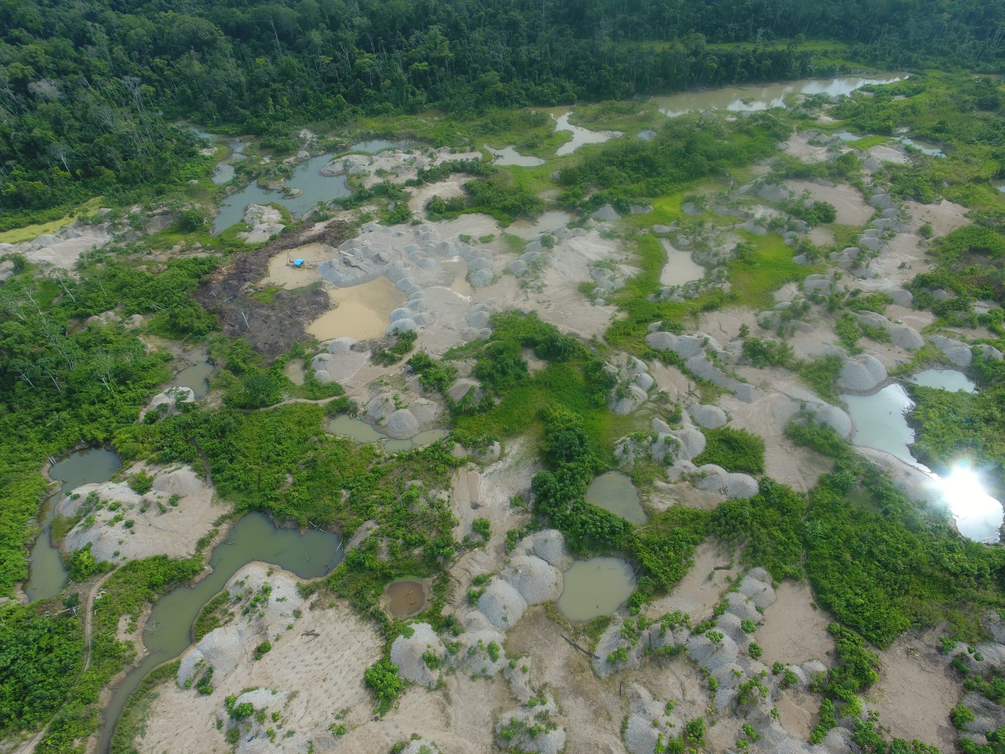 The damage from gold mining is clearly visible in the rainforest. Previously lush greenery is now scattered with barren craters.