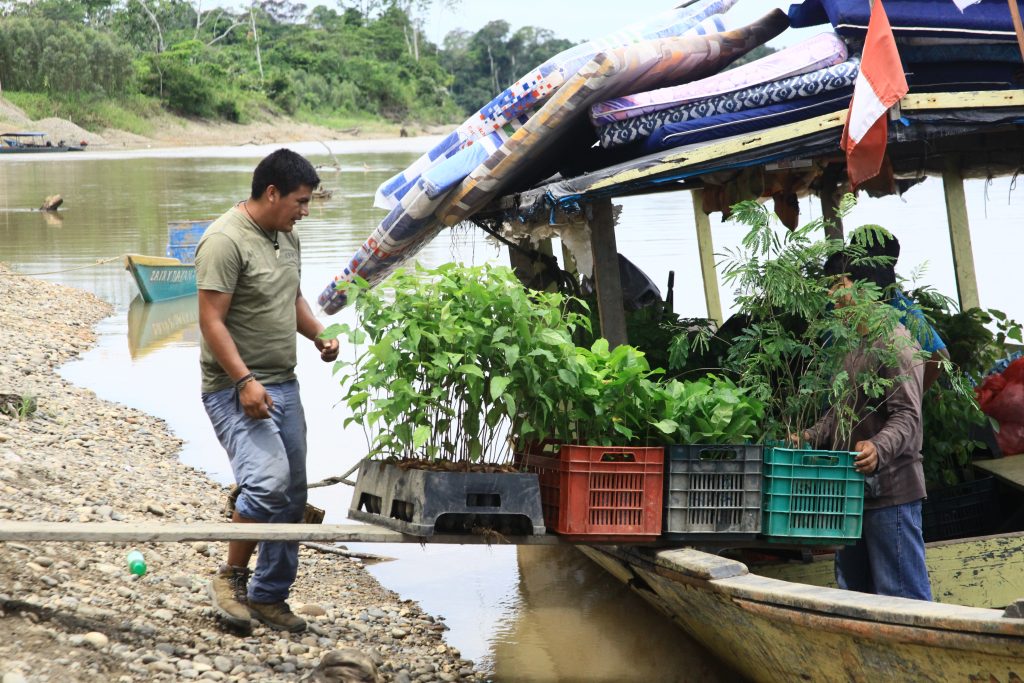 Rainforest reforestation - Unloading seedlings from the outboard boat, where they were ferried up the Madre de Dios River.