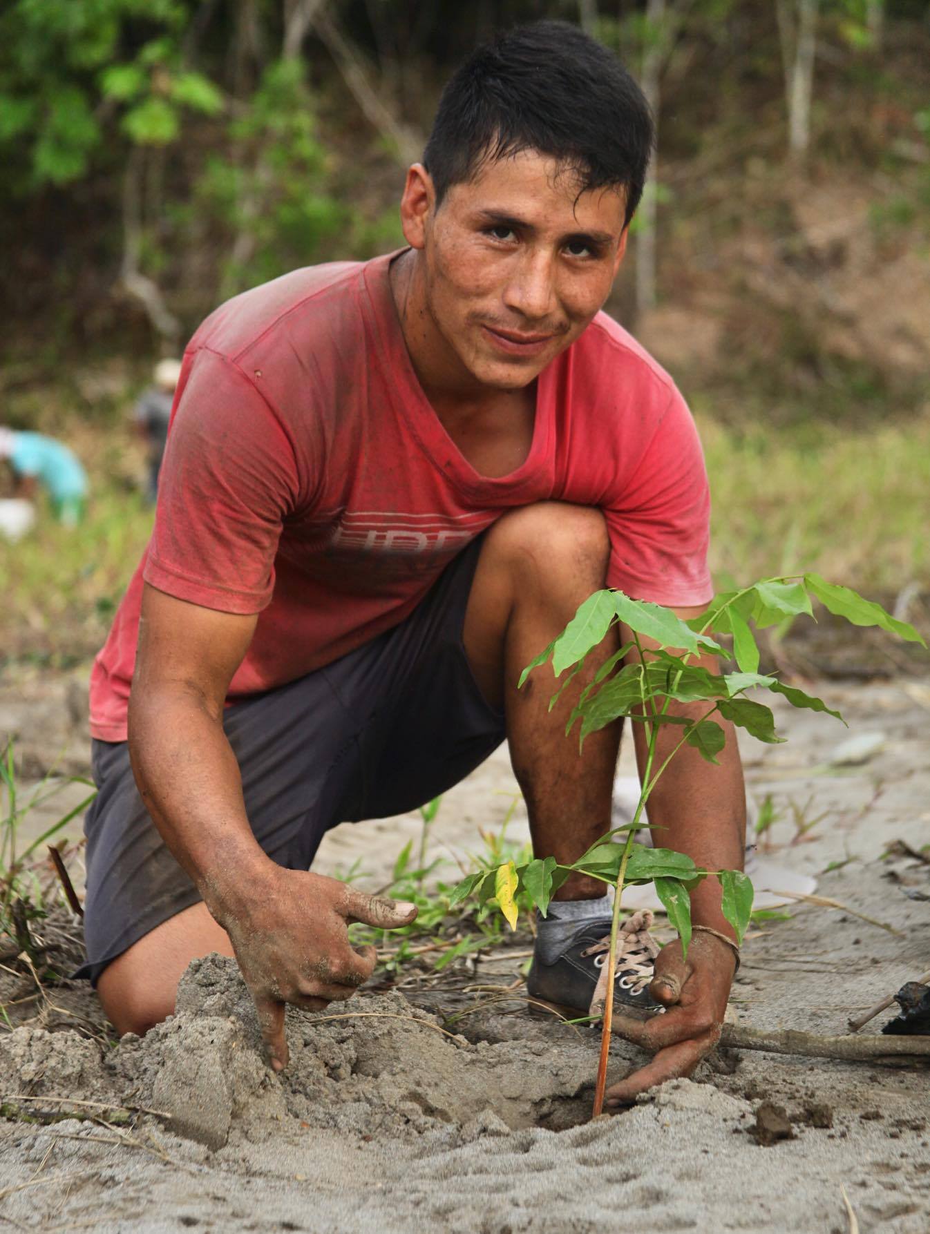 Restoring Rainforest Stripped By Gold Mining in the Amazon