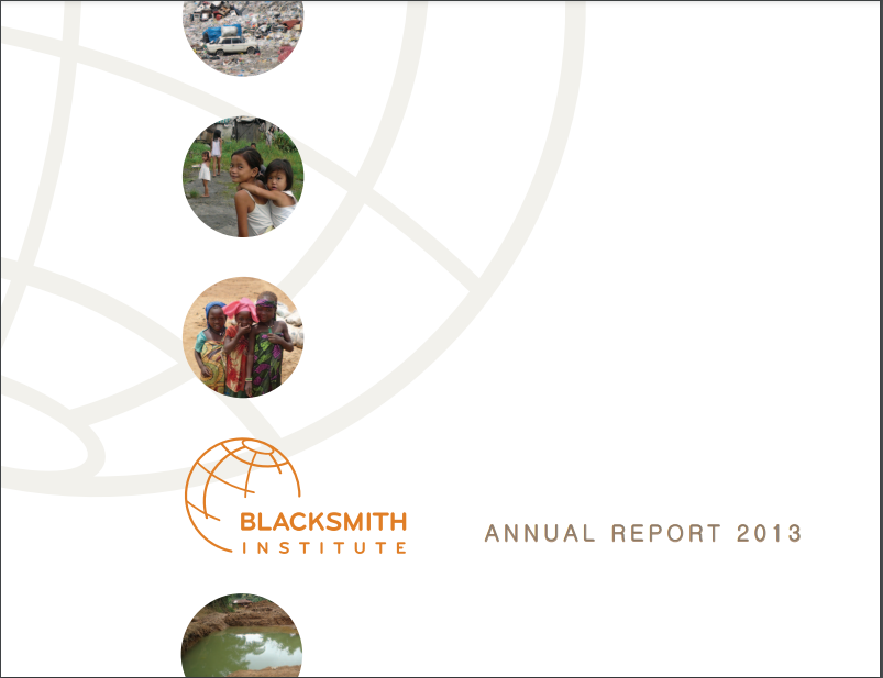 Download the 2013 Report