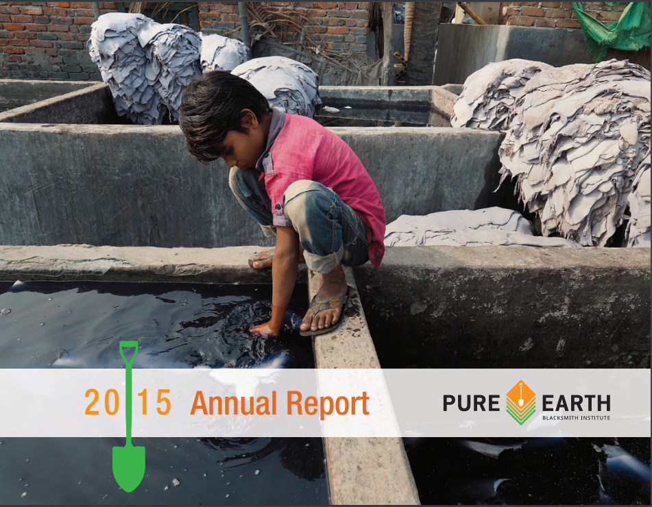 Download the 2015 Annual Report
