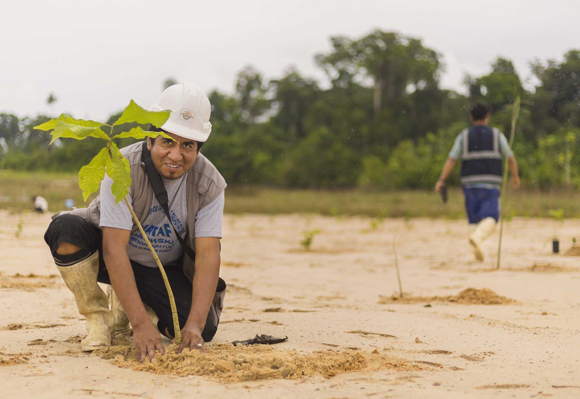 Pure Earth's reforestation project in Peru.