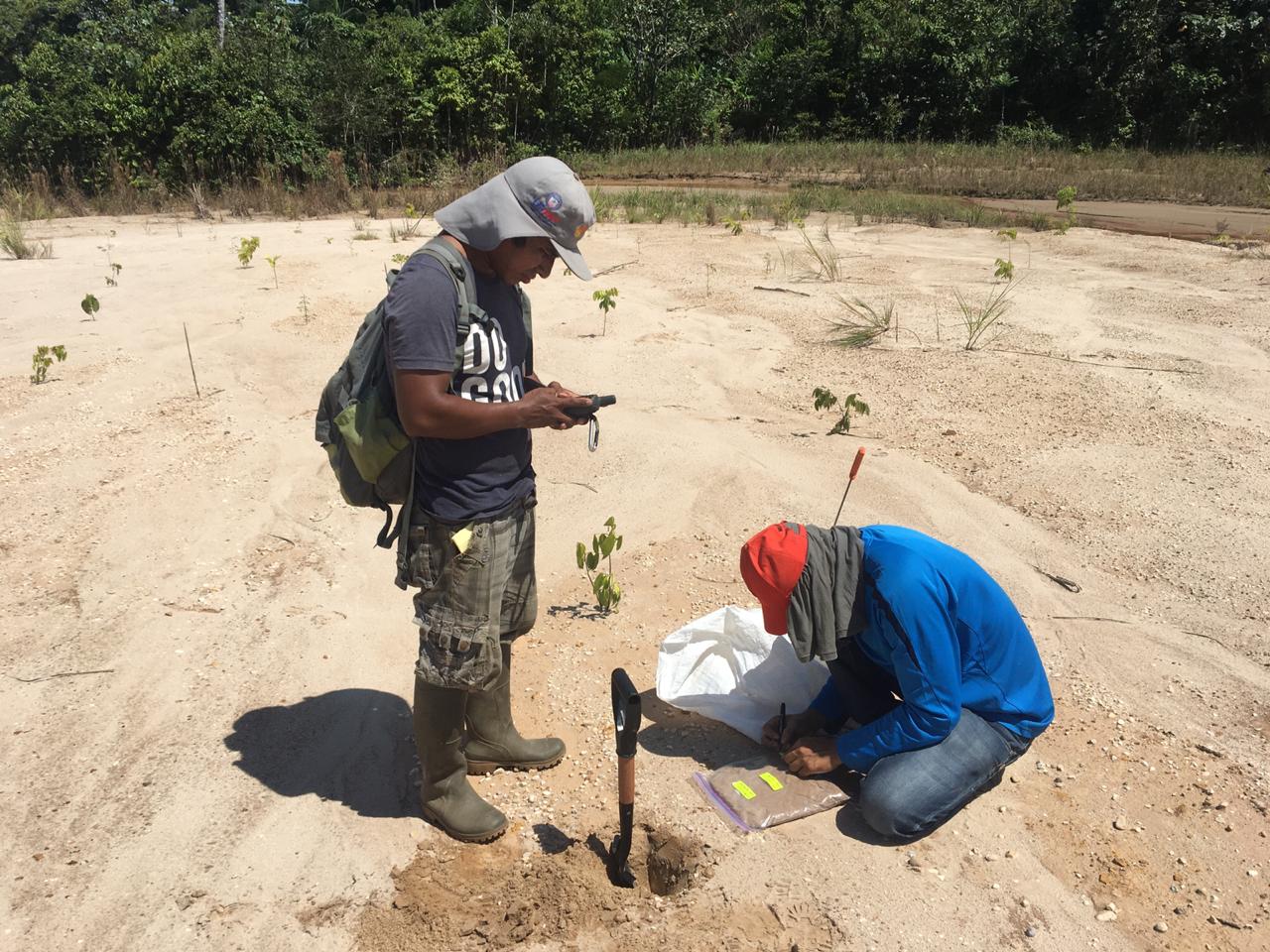 Pure Earth reforestation project in Peru