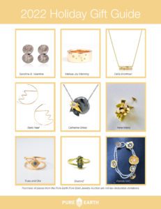 Pure Earth Solve Pollution Gift Guide - Pure Earth