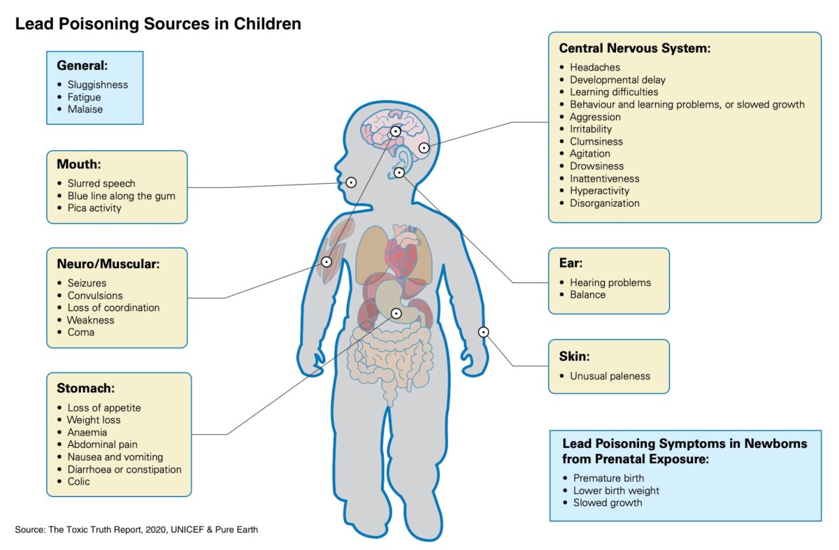 Lead Poisoning Impacts And Sources