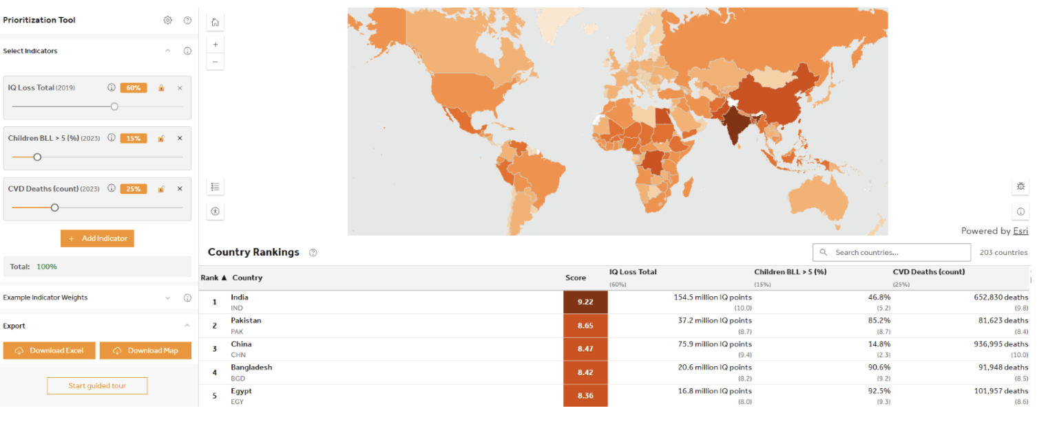 Learn about Pure Earth's new prioritization tool based on lead exposure indicators